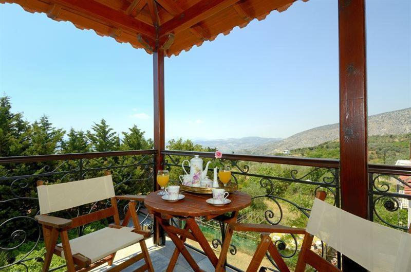 Iatrou Guesthouse Портария Номер фото