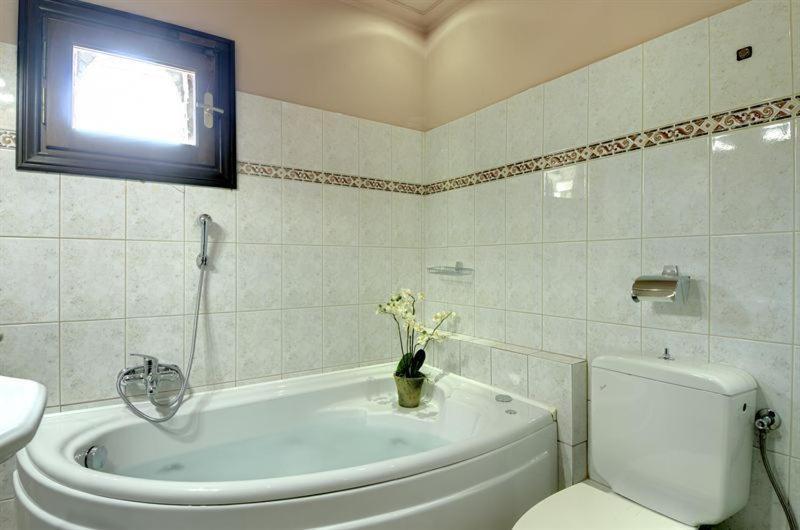 Iatrou Guesthouse Портария Номер фото