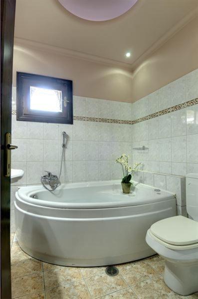 Iatrou Guesthouse Портария Номер фото