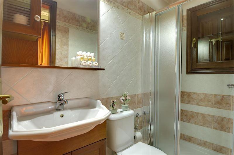 Iatrou Guesthouse Портария Номер фото